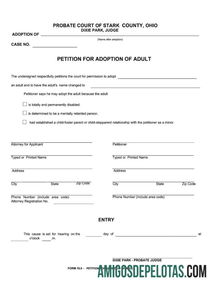 Certificado de Adoção Stark do Tribunal de Sucessões dos EUA amostra